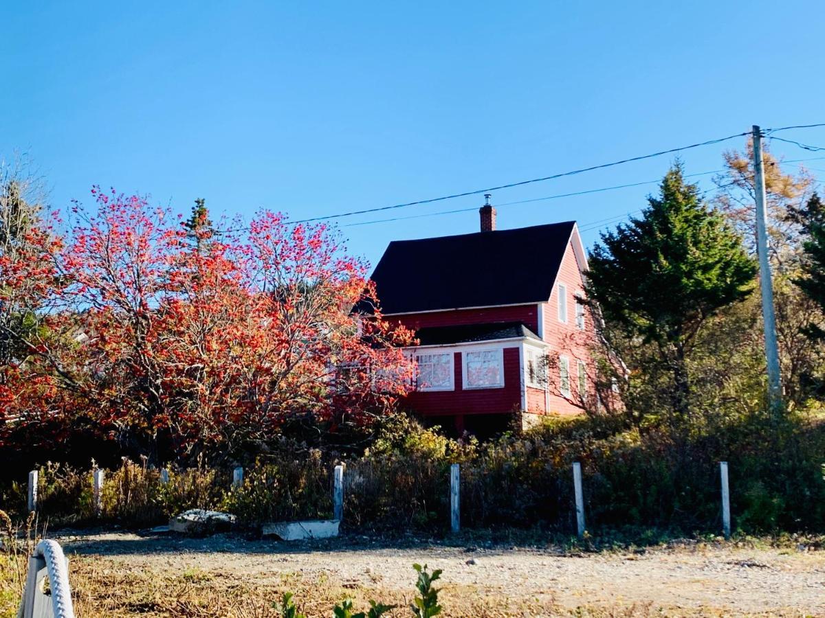 Alma Shore Lane Suites & Cottages エクステリア 写真